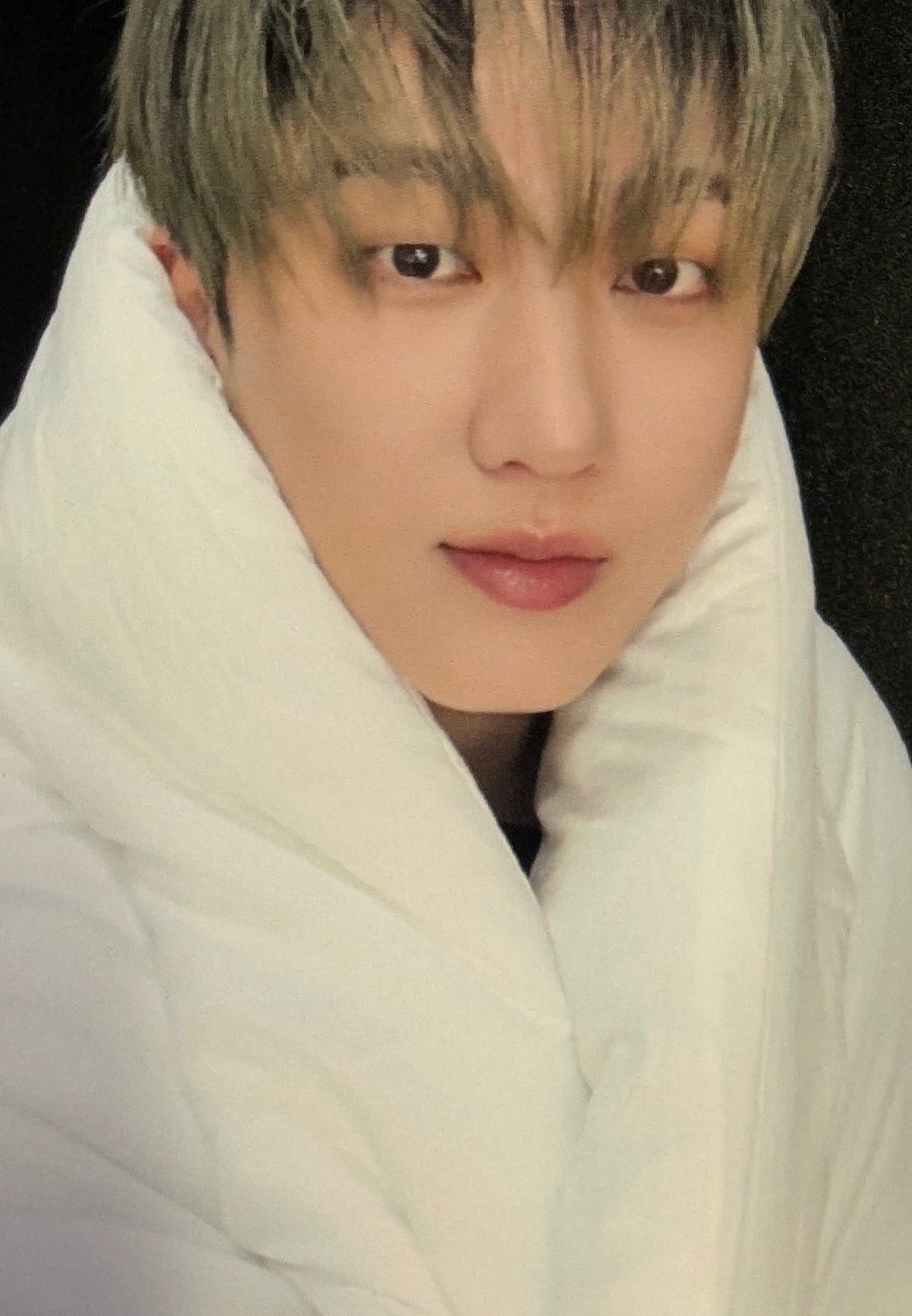 [Photocard] STRAY KIDS Changbin - HOP Album (jyp/fans shop, pob (pre-order benefit)) front