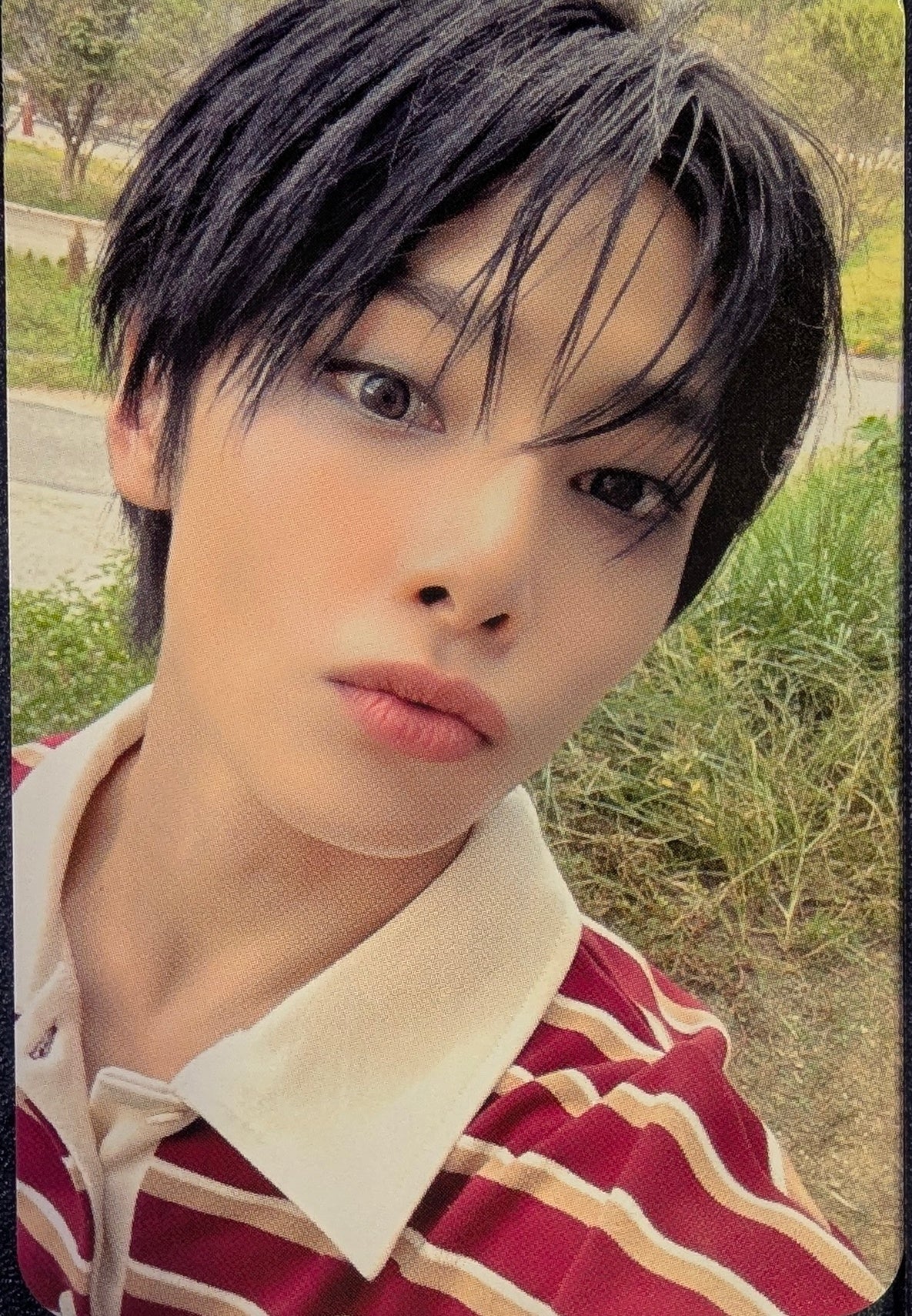 [Photocard] STRAY KIDS I.N - HOP Album (musickorea (music korea), purchase benefit) front