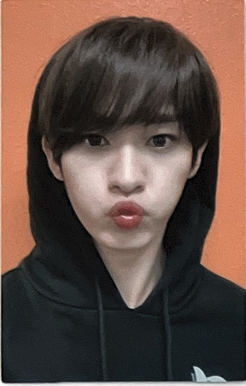 [Photocard] STRAY KIDS Lee Know  GO LIVE Album (double-sided, album photocard, version 3)