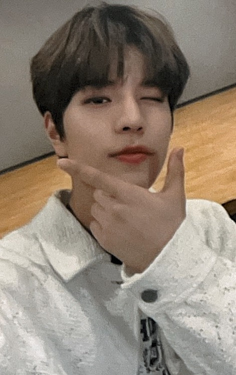 [Photocard] STRAY KIDS Seungmin  5-Star Dome Tour 2023 Event (tokyo, purchase benefit, day 1, venue-limited, venue album pick-up/purchase)