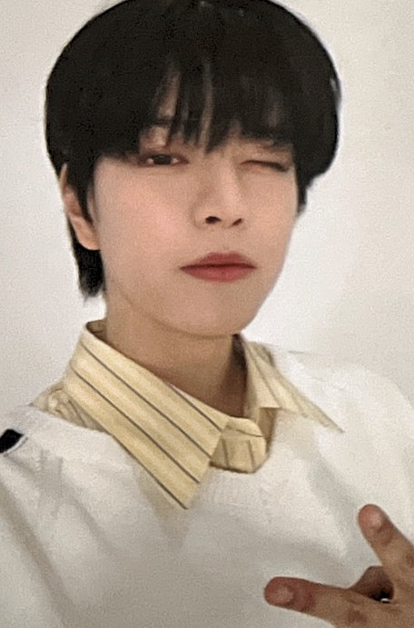 [Photocard] STRAY KIDS Seungmin  ATE Album (album photocard, nemo version, B version, random photocard)