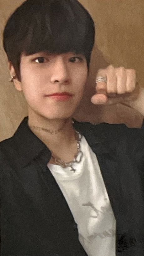 [Photocard] STRAY KIDS Seungmin  Scars / Thunderous (Japanese ver.) Album (limited edition, C version, album photocard, non-standard size)
