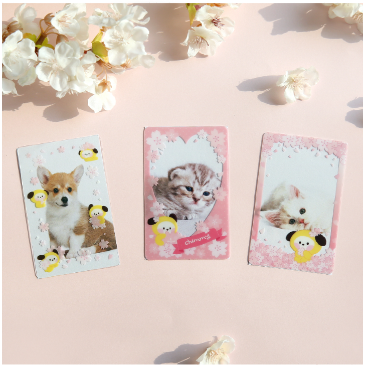 BT21 minini Photocard Frame [Cherry Blossom]