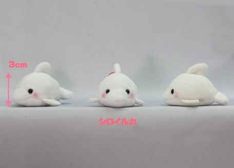 Amuse Puchimaru Mini Beanbag Plush - White Dolphin