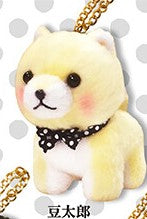 Amuse Premium Mameshiba Sankyoudai Plush Keychain