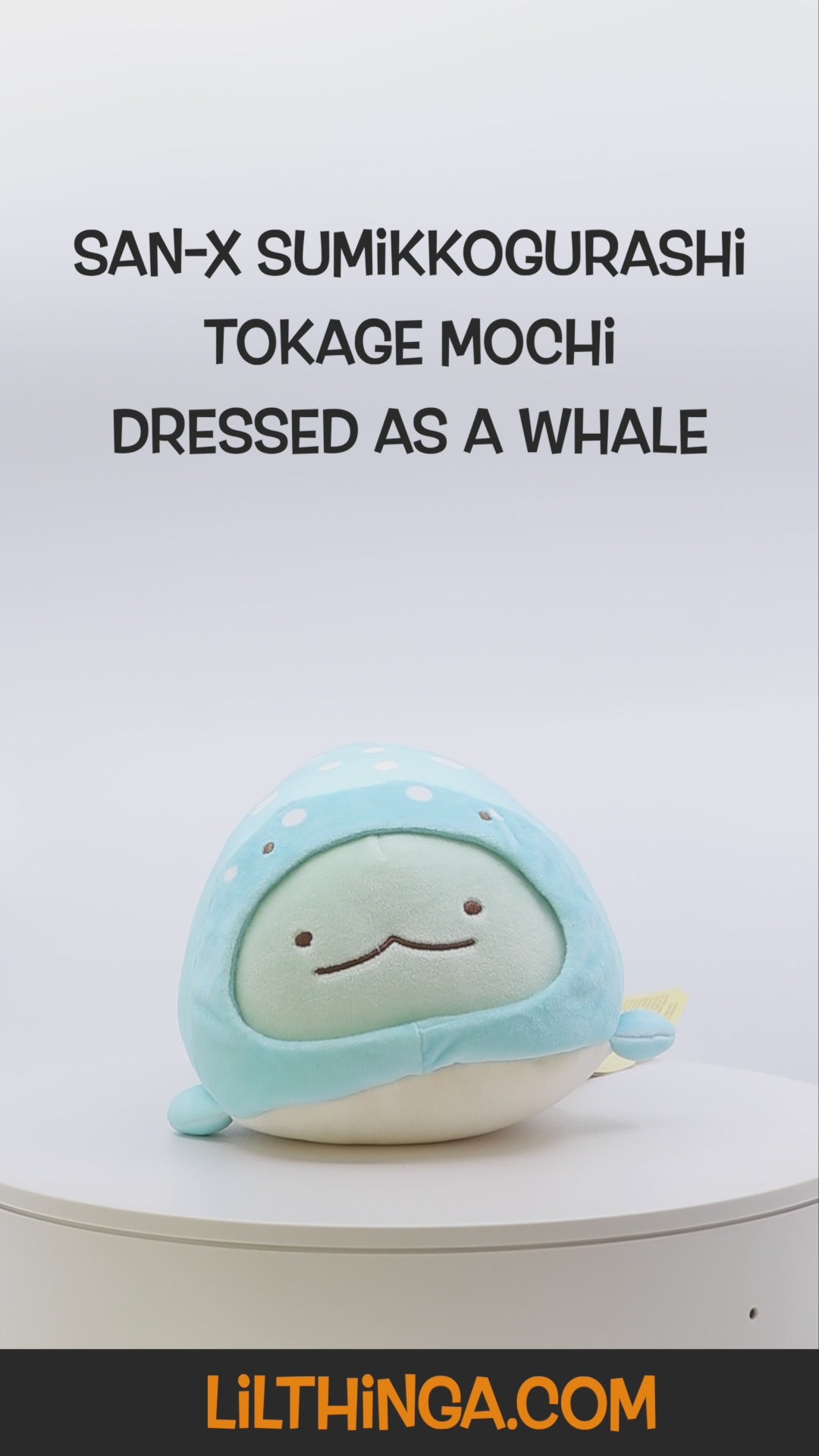 Sumikkogurashi San-X Original Tokage Dressed as a Whale Mochi 