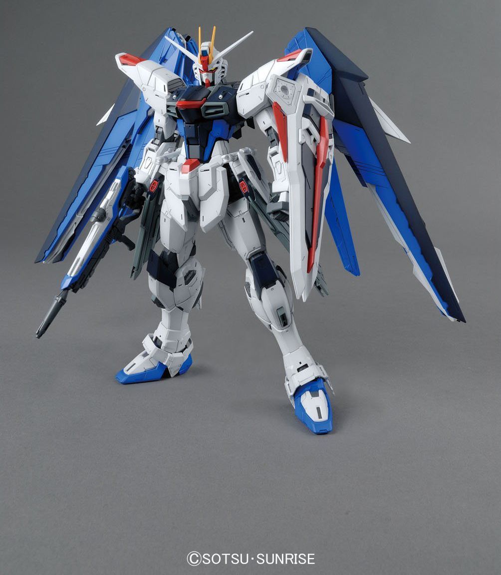 MG Gundam Seed Freedom Gundam ver.2.0 1/100 Model Kit